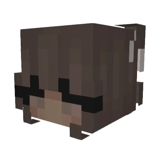 Vivi6 Minecraft avatar head, 3D render