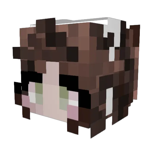 Vivi8002 Minecraft avatar head, 3D render