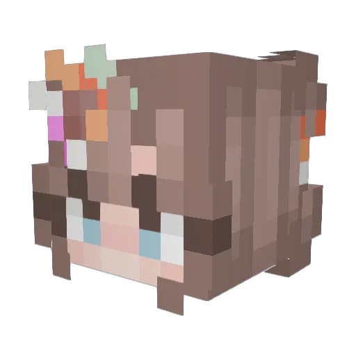 ViviBlogs Minecraft avatar head, 3D render