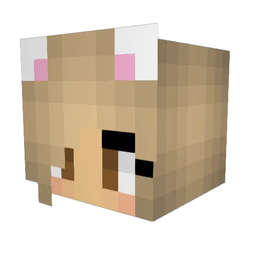 ViviMoon Minecraft avatar head, 3D render