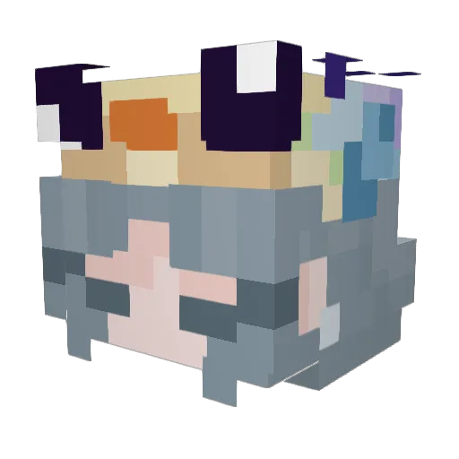 ViviTwan Minecraft avatar head, 3D render