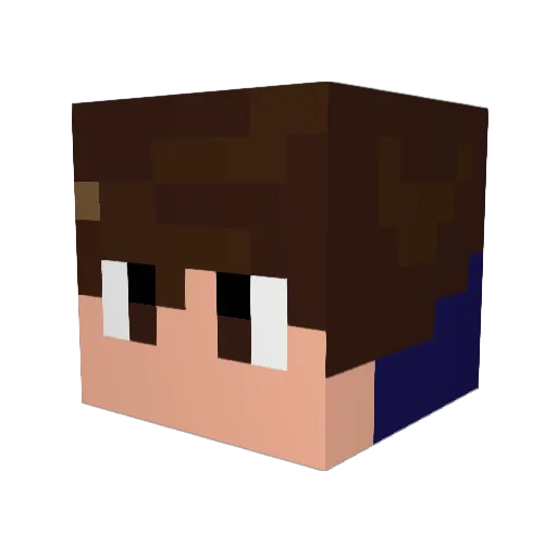 Vivi_fut Minecraft avatar head, 3D render