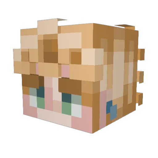 Vivian_n Minecraft avatar head, 3D render