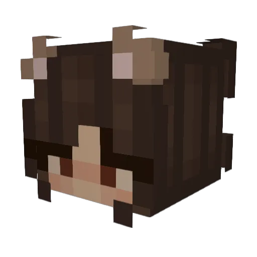 VividCricket Minecraft avatar head, 3D render