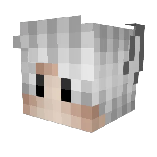 VividSilverWolf Minecraft avatar head, 3D render