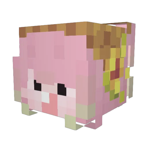 VividSunray Minecraft avatar head, 3D render