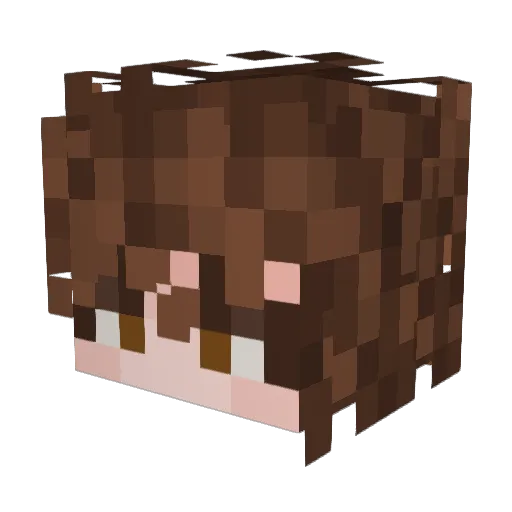 Vividae Minecraft avatar head, 3D render