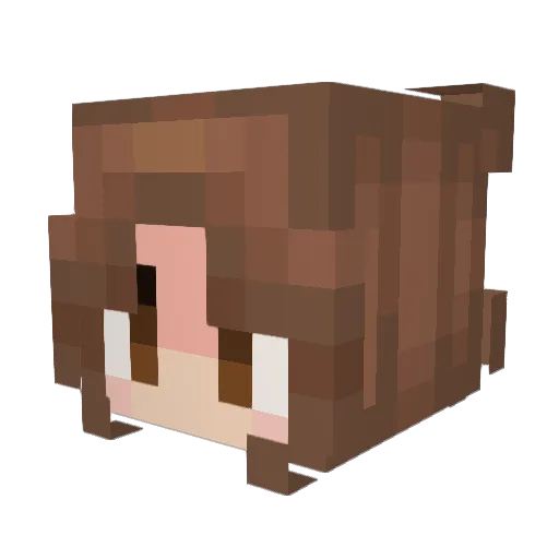 Vividre Minecraft avatar head, 3D render