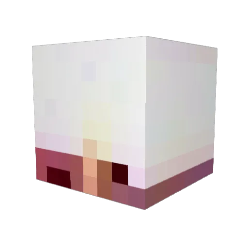 Viviheh Minecraft avatar head, 3D render