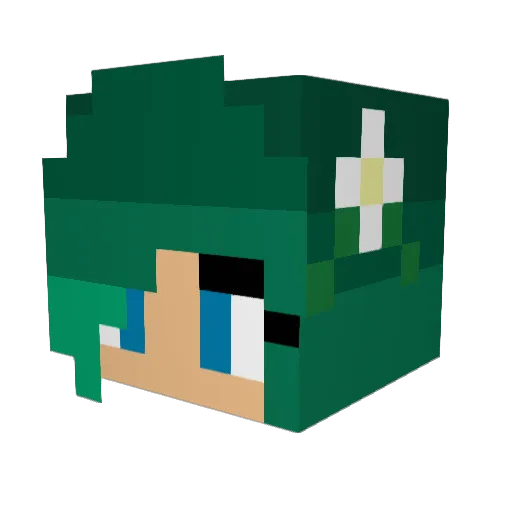 Vivik11 Minecraft avatar head, 3D render