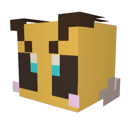 Vivisect0nist Minecraft avatar head, 3D render