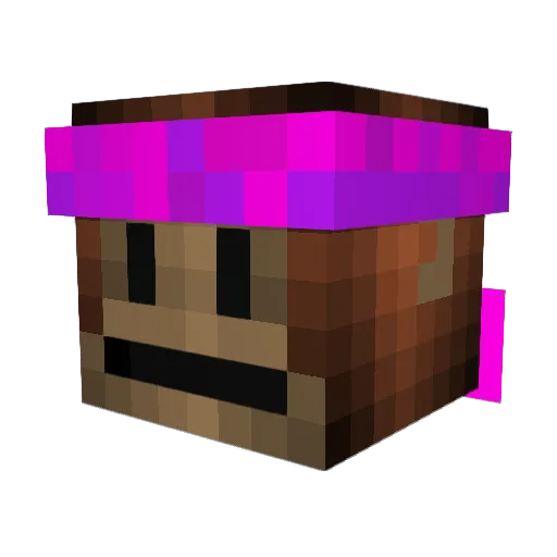 Vivizadah Minecraft avatar head, 3D render
