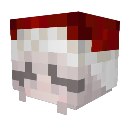 Vivvvvvv14 Minecraft avatar head, 3D render