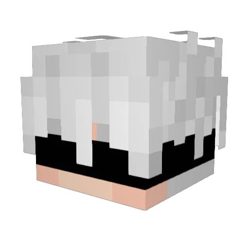 Vixeen_166 Minecraft avatar head, 3D render