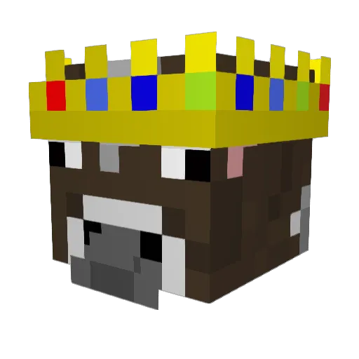 VixelPro Minecraft avatar head, 3D render