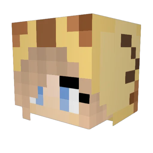 Vixella_Plays Minecraft avatar head, 3D render