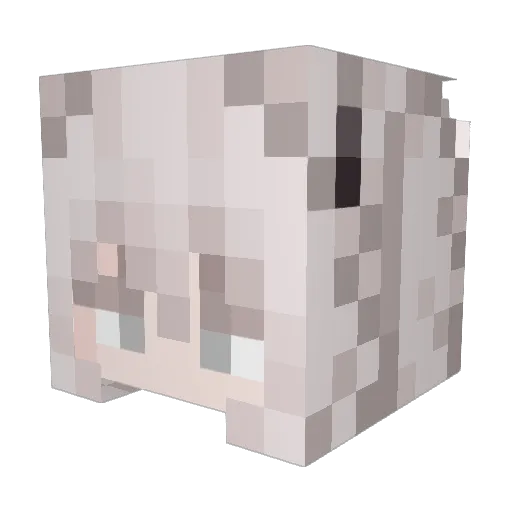 VixenVonSly Minecraft avatar head, 3D render