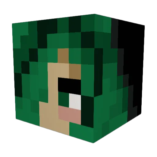 Vixons8 Minecraft avatar head, 3D render