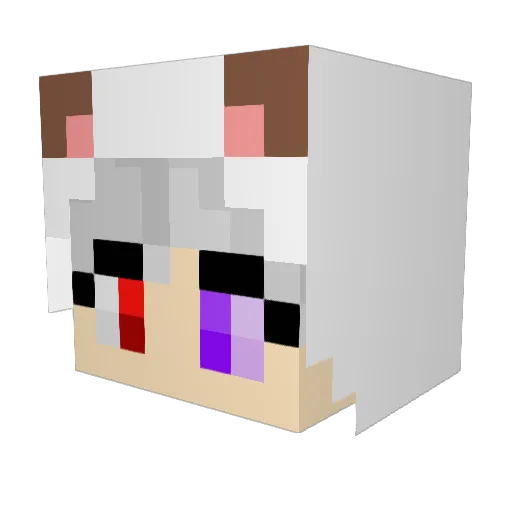 Vixoo14 Minecraft avatar head, 3D render
