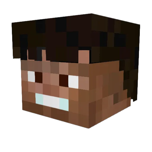 Vixooooooo Minecraft avatar head, 3D render