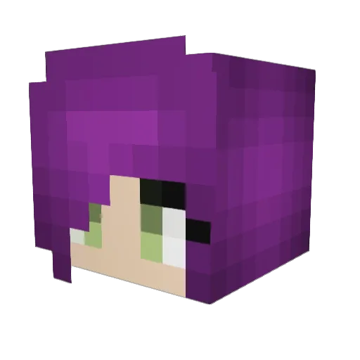 Vixs_Secret Minecraft avatar head, 3D render
