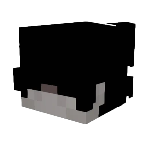 VixxchY Minecraft avatar head, 3D render