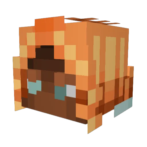 Vixxeous Minecraft avatar head, 3D render
