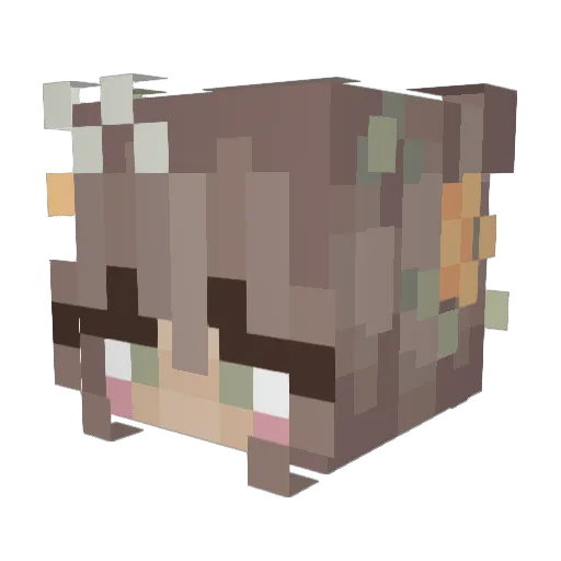 Vixxx_y Minecraft avatar head, 3D render