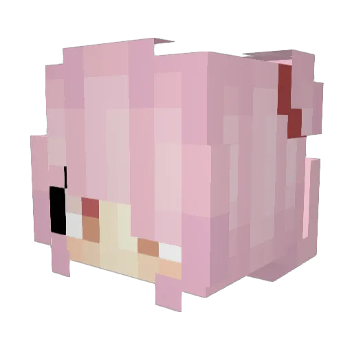 VixyFox_ Minecraft avatar head, 3D render