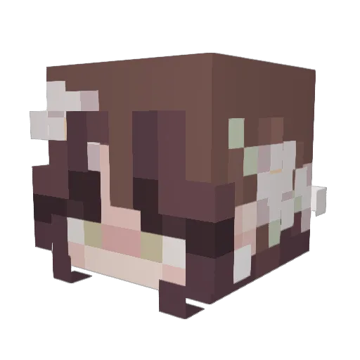 Viya27 Minecraft avatar head, 3D render