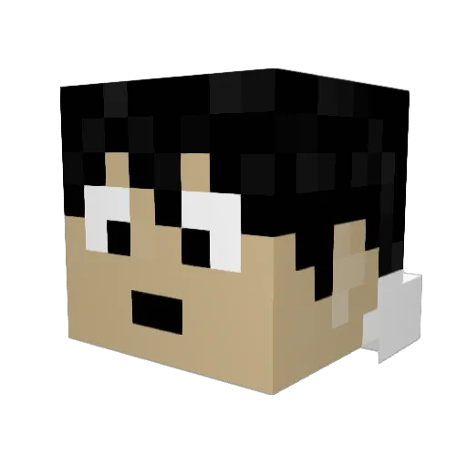 Vize215 Minecraft avatar head, 3D render