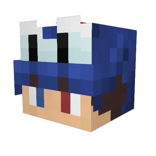 ViziOsTiger Minecraft avatar head, 3D render