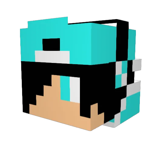 ViziOziOwn Minecraft avatar head, 3D render