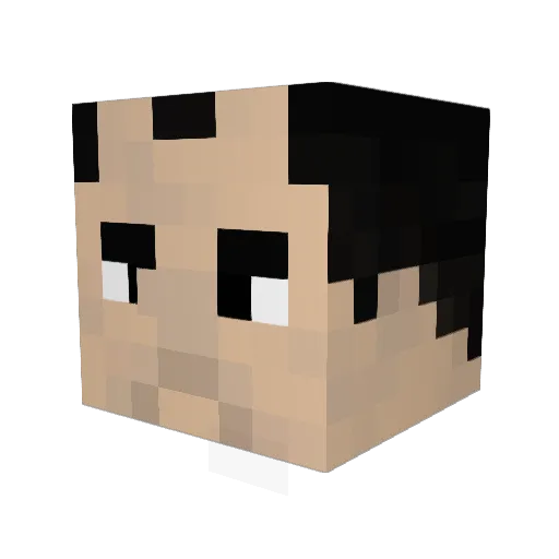 Vizier__ Minecraft avatar head, 3D render
