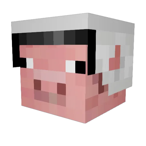 Vizionz__ Minecraft avatar head, 3D render