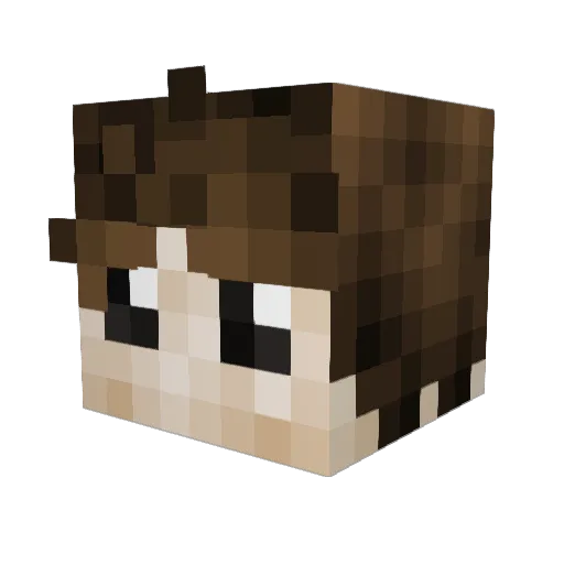 Vizketor Minecraft avatar head, 3D render