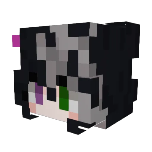 Vizn0x Minecraft avatar head, 3D render