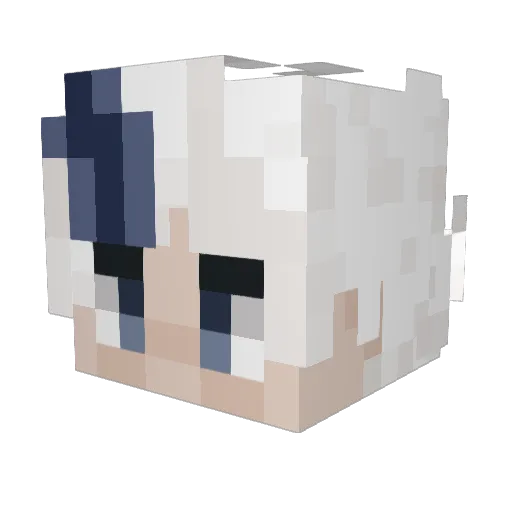 VizualSnow Minecraft avatar head, 3D render
