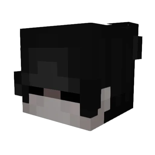 Vizx_ Minecraft avatar head, 3D render