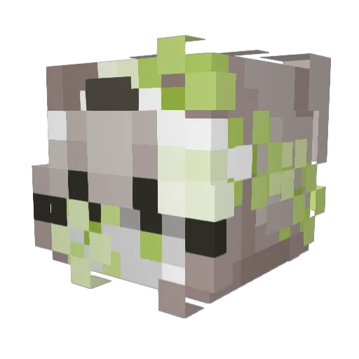 Vizzy511 Minecraft avatar head, 3D render