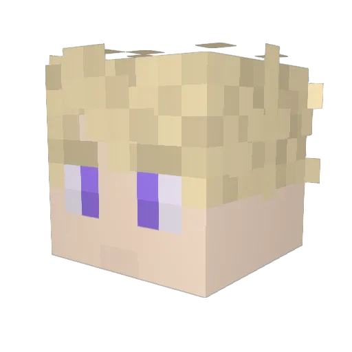 VizzyT08 Minecraft avatar head, 3D render