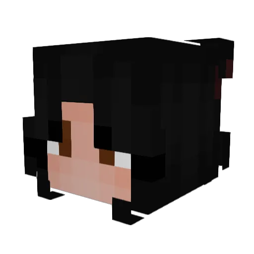 Vjcc19 Minecraft avatar head, 3D render