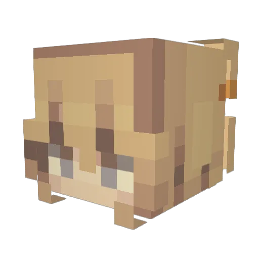 VlaaDuss Minecraft avatar head, 3D render