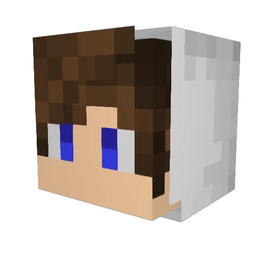 Vlad5Vlad Minecraft avatar head, 3D render