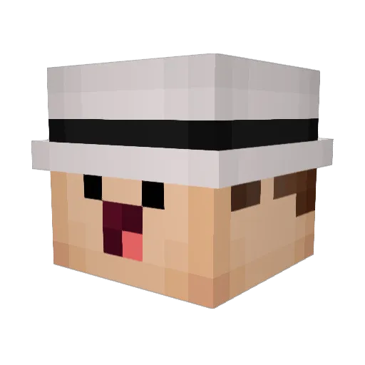 Vladan66 Minecraft avatar head, 3D render