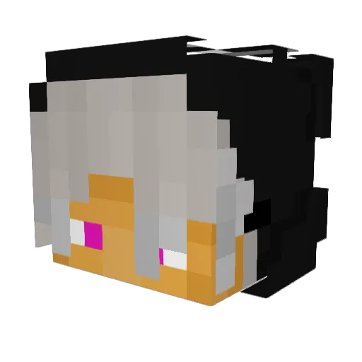 Vladik55 Minecraft avatar head, 3D render