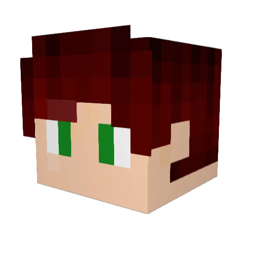 Vladik719 Minecraft avatar head, 3D render