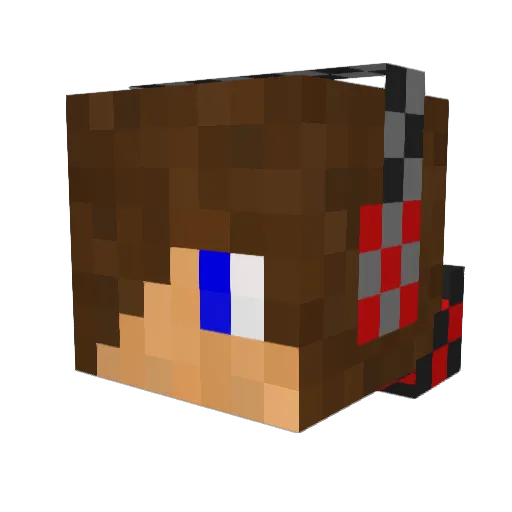 Vladmaster1998 Minecraft avatar head, 3D render