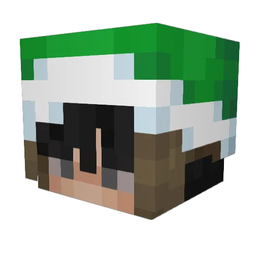 Vladyaso Minecraft avatar head, 3D render