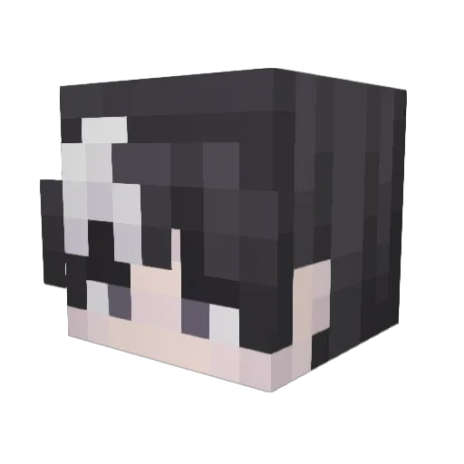 Vladyx0 Minecraft avatar head, 3D render